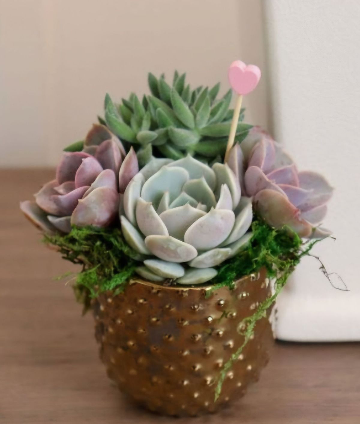 Valentine Plant Bar