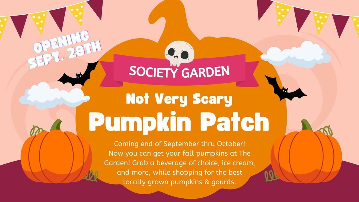 Not Very Scary Pumpkin Patch