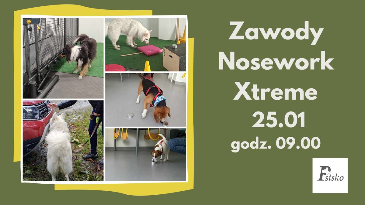 Zawody Nosework Xtreme