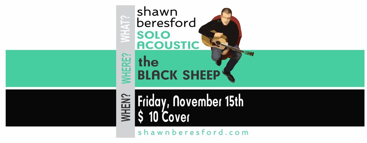 Shawn Beresford - Solo Acoustic