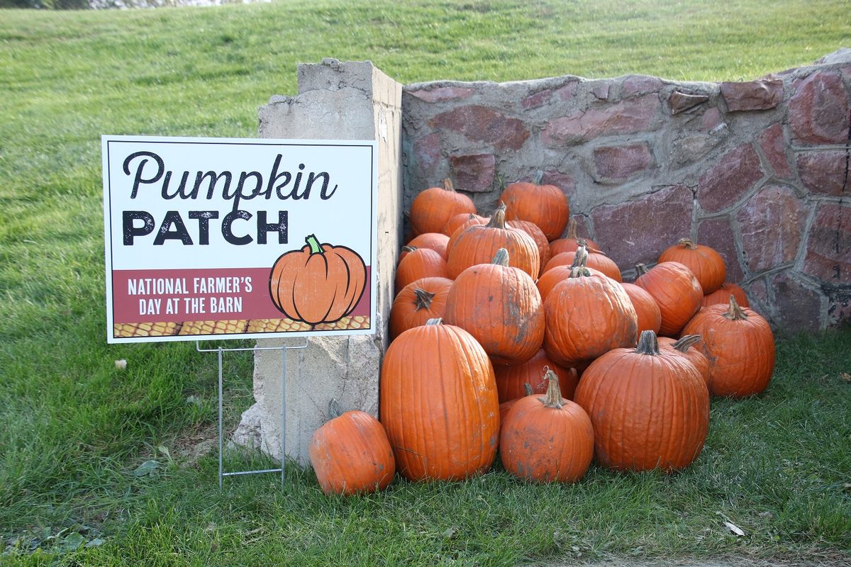 National Farmer's Day at the Barn