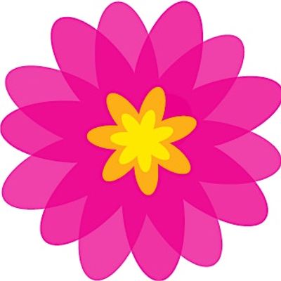 The Sumaira Foundation