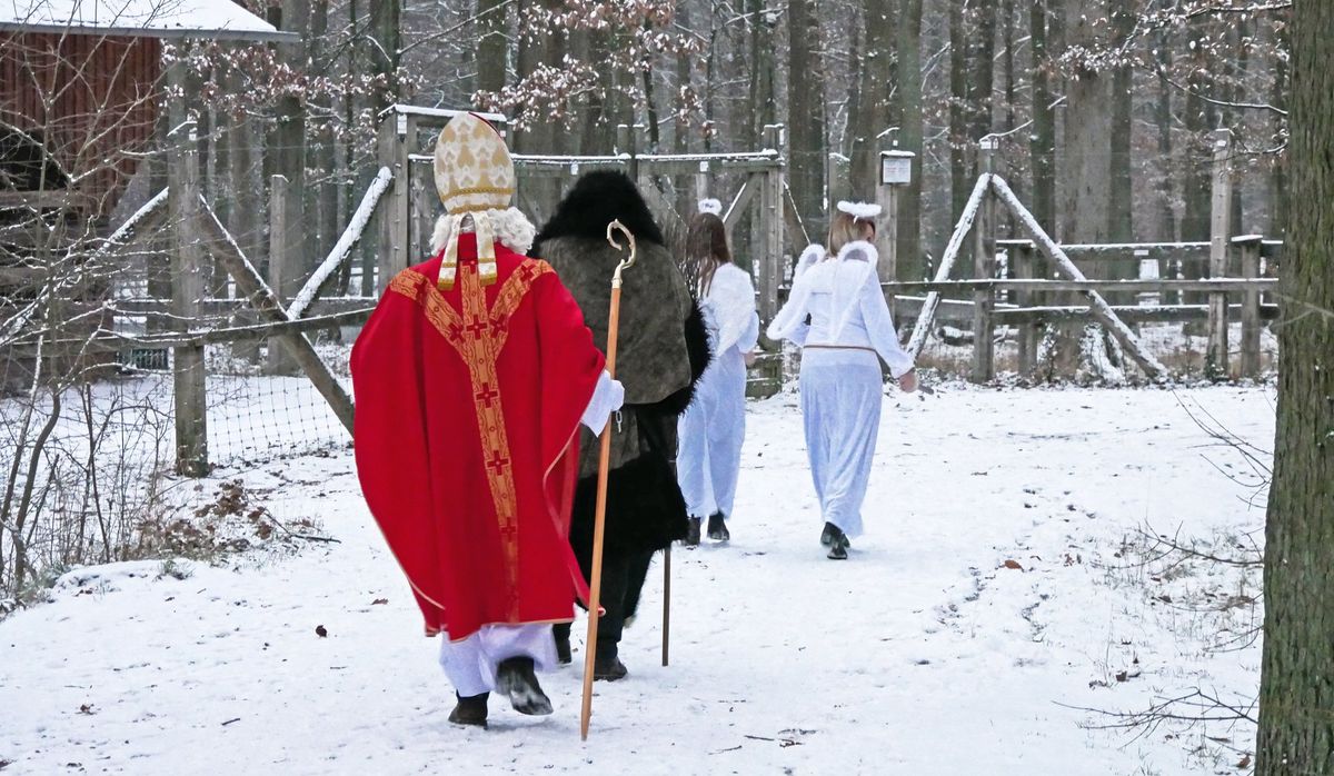 Waldweihnacht im Wildpark