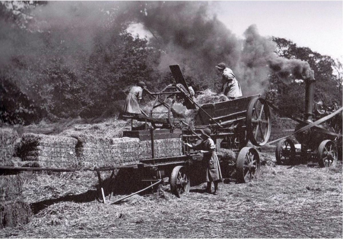 Winter Members Meeting - The Women's Land Army - A Sussex Connection