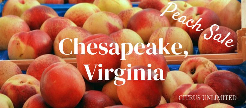 Peach Sale - Chesapeake, VA from 3:00 - 4:00 pm at Tractor Supply
