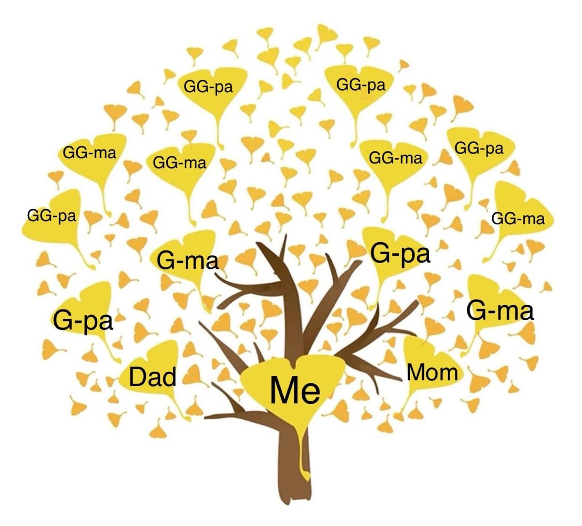 Family History Assistance Hours