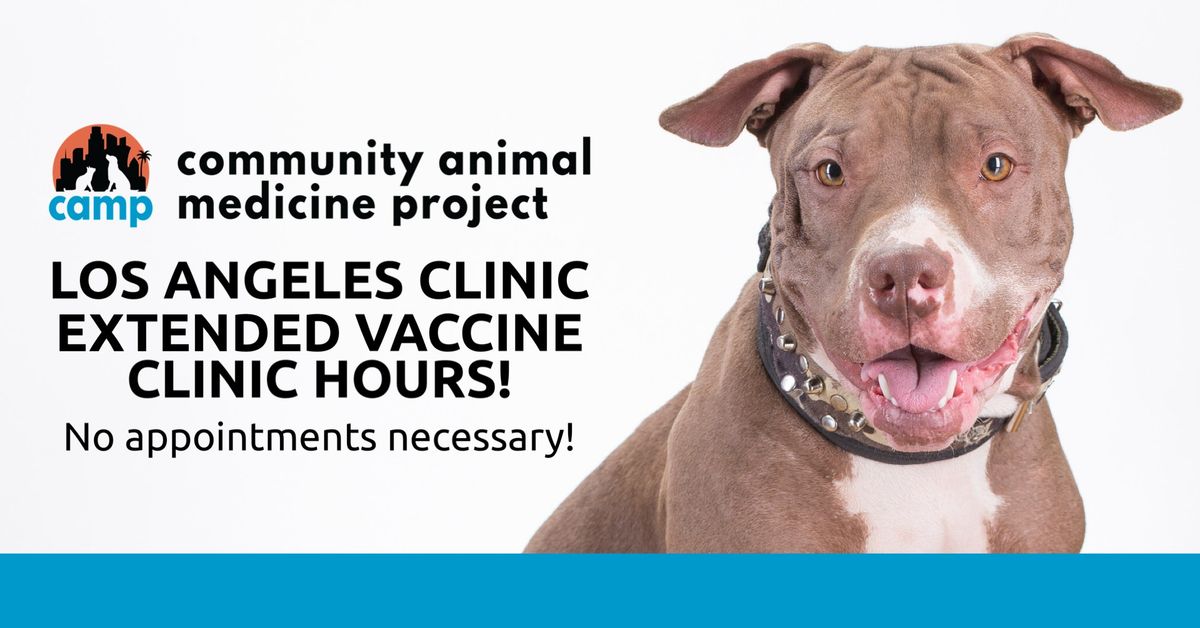 CAMP Los Angeles Extended Vaccine Clinic (No appointments necessary)