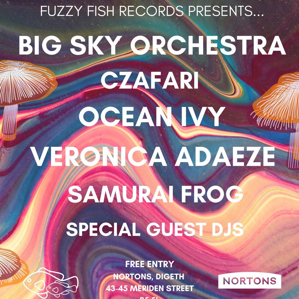 Fuzzy Fish Records presents Big Sky Orchestra + Guests