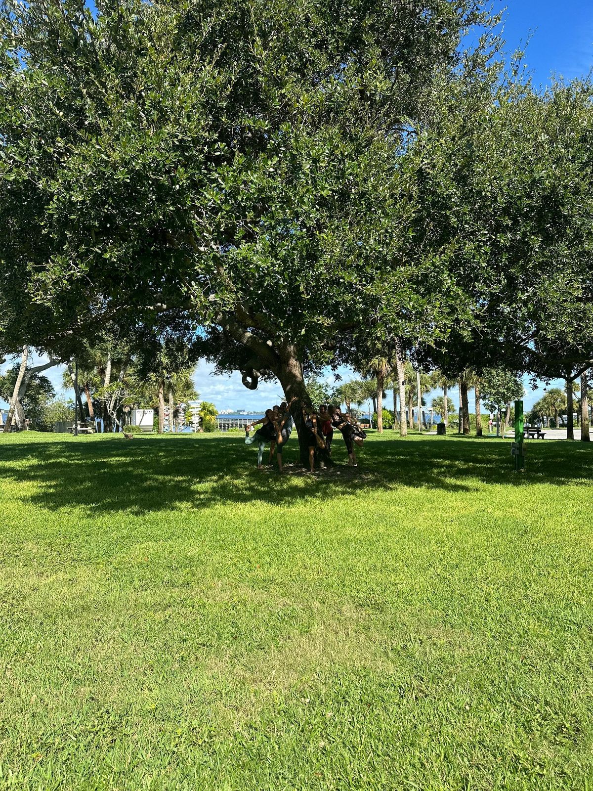 Free Community Yoga at the Park