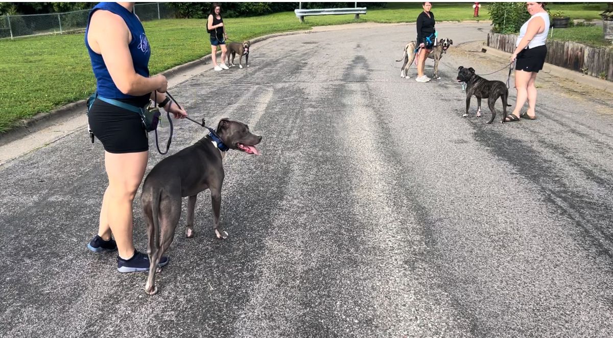 Community pack walk