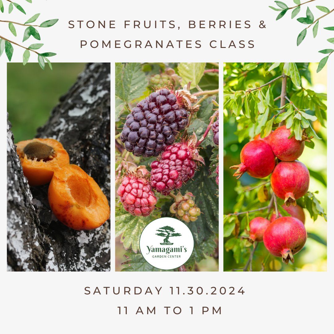 Stone Fruits, Berries & Pomegranates Class