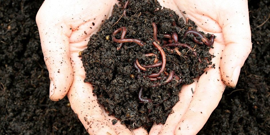 FREE Worm Farming Workshop | City of Swan