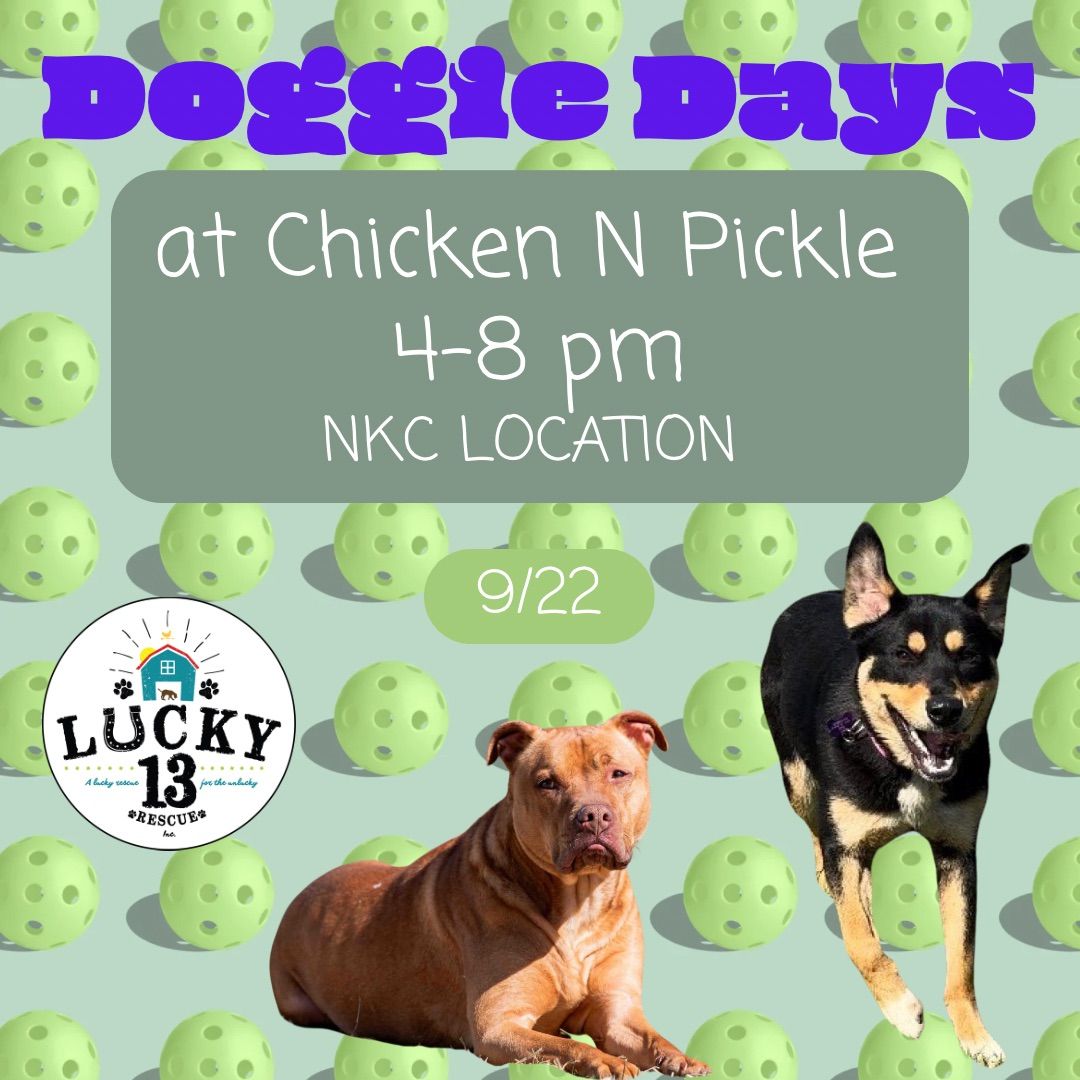 Chicken N Pickle Doggie Days