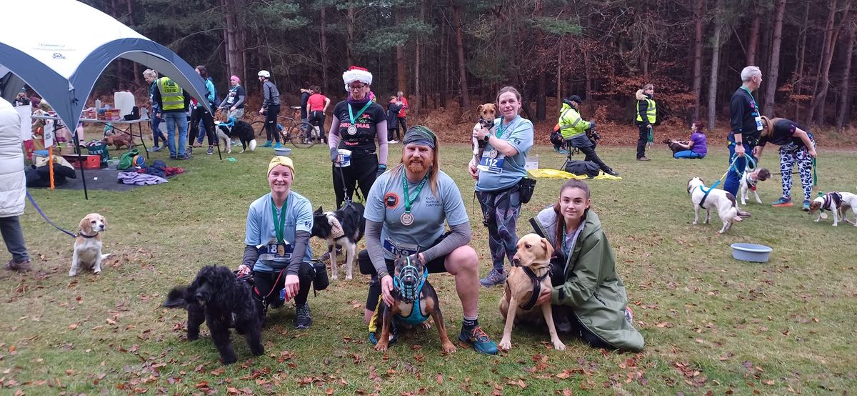 Rendlesham Forest Canicross