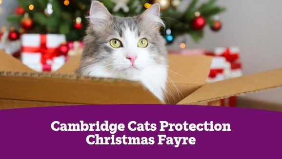 Christmas Fayre - Cambridge Cats Protection