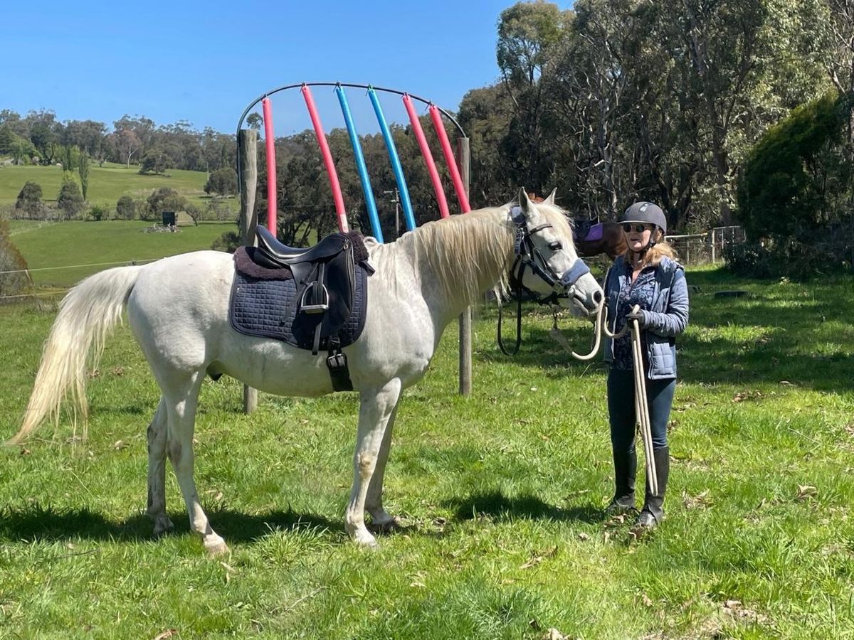 Horse Owner Avoca Trails Activity Day