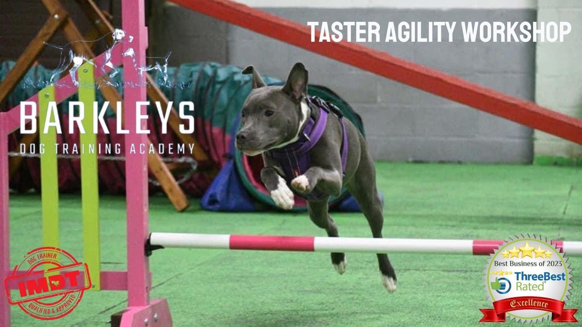 Taster Agility Workshop 