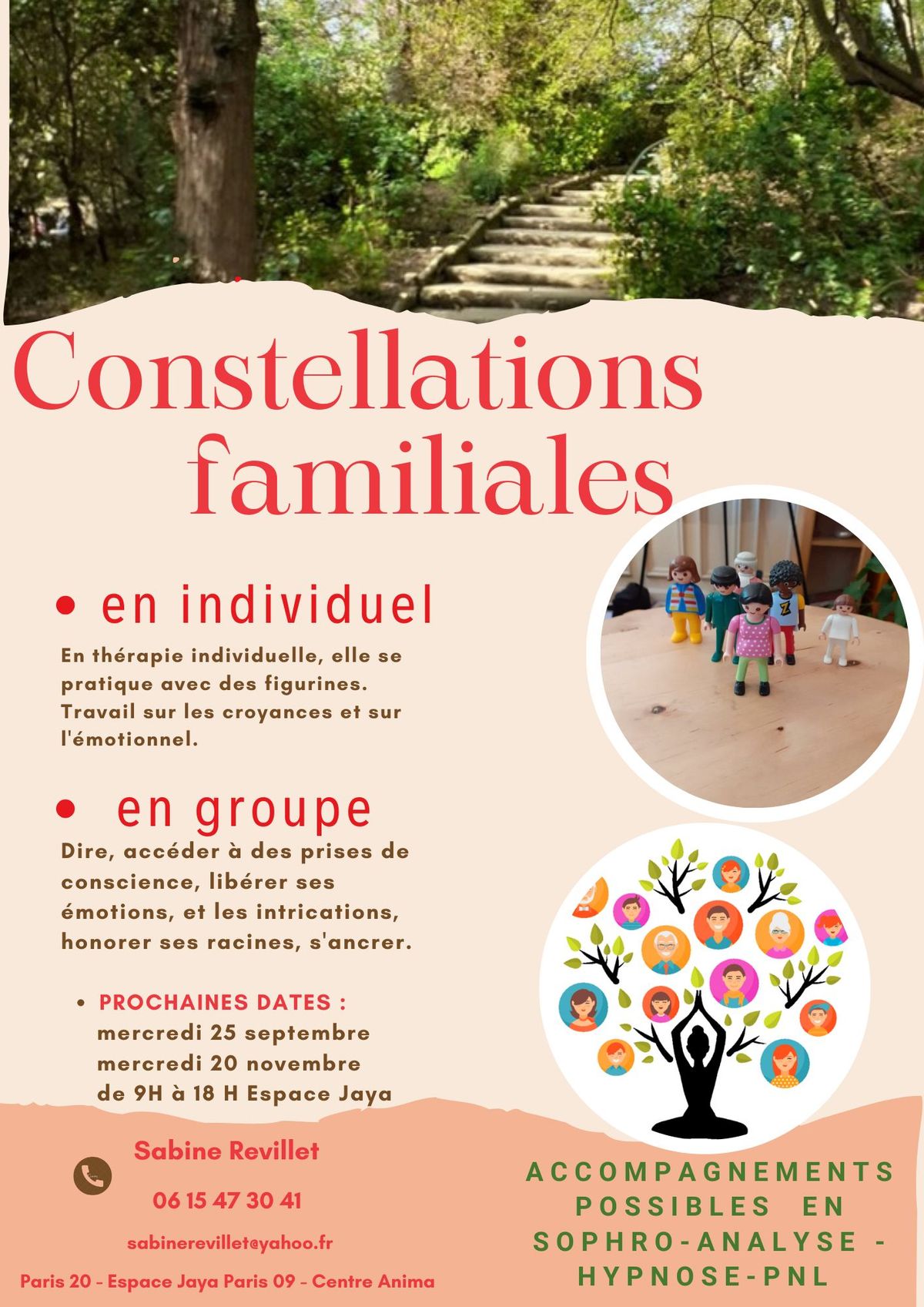 Constellations familiales 