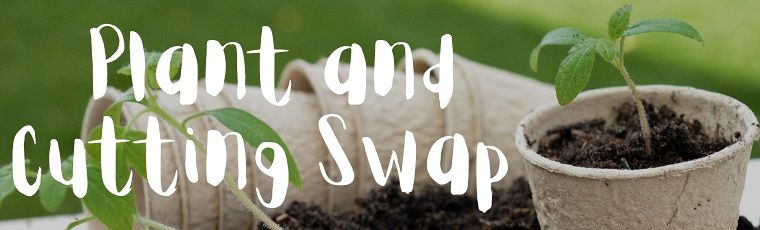 Plant & Cutting Swap @ Fremont Main Library