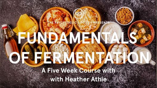 Fundamentals of Fermentation - 5 Week Course