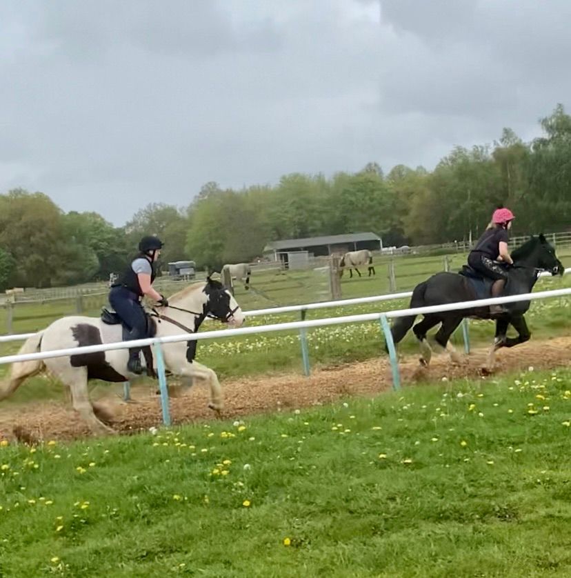 Gallops at the Northern Racing College