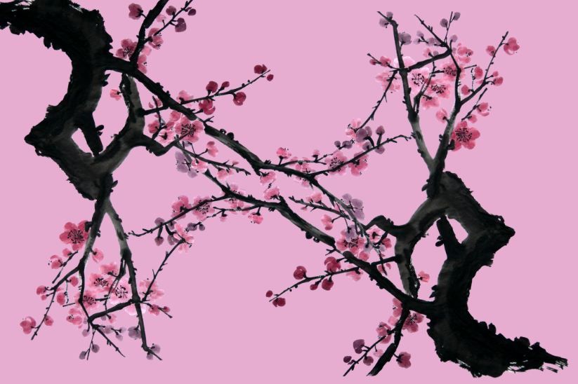 Plum Blossom Wine: Poems by Li Qingzhao