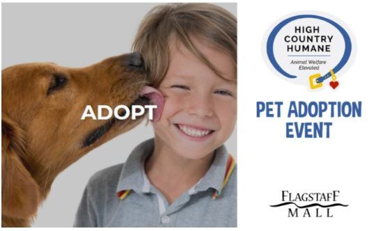 High Country Humane Monthly Saturday Adoption Event
