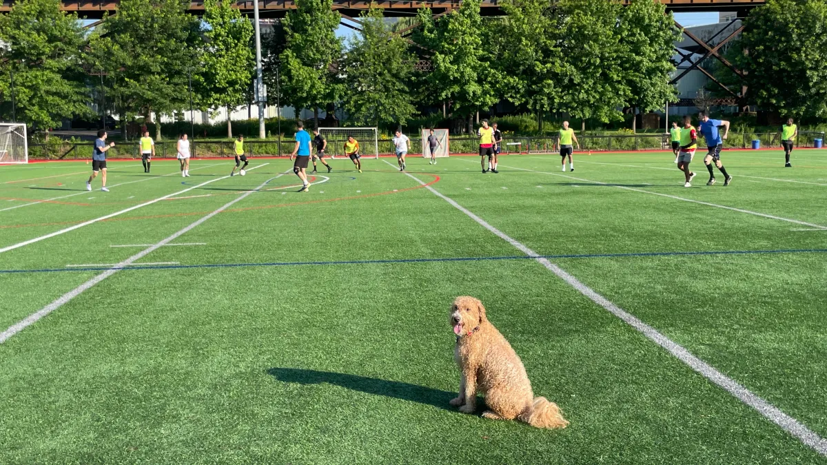 Coed Lazy & Lousy Phootball [Soccer]