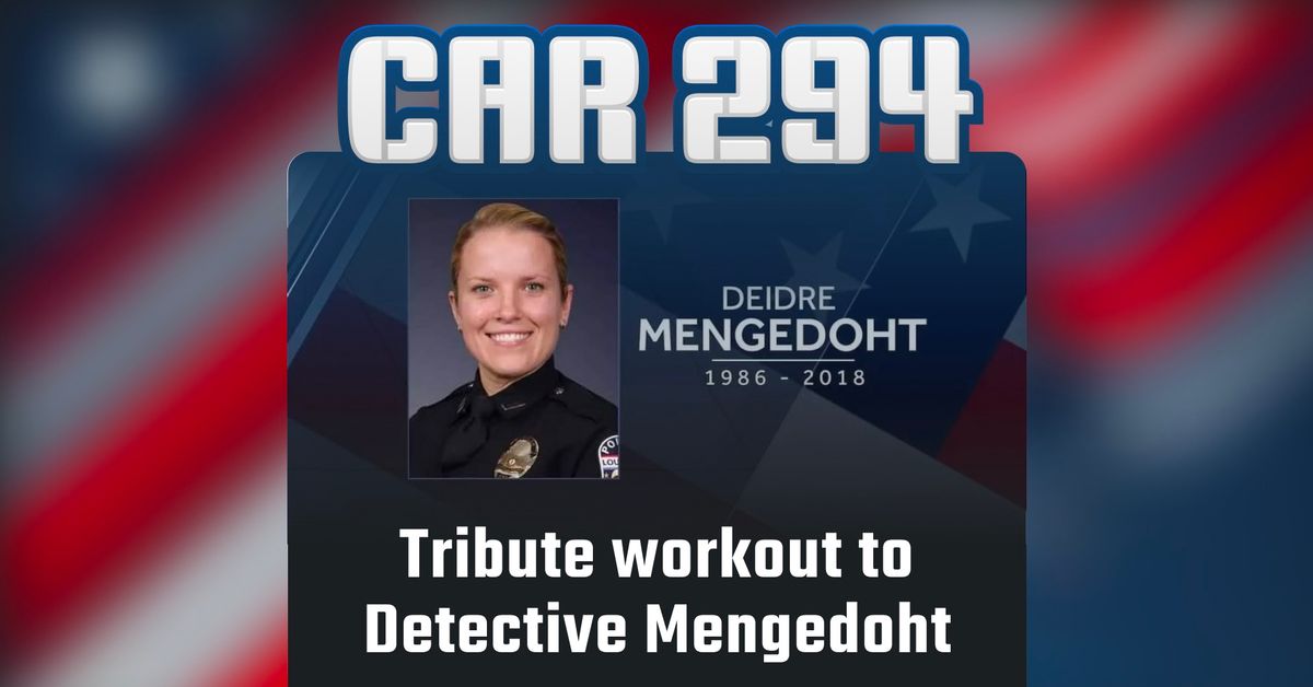 Car 294 Hero Workout