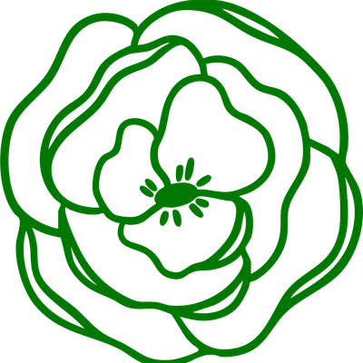 B\u00f3tany Athletics