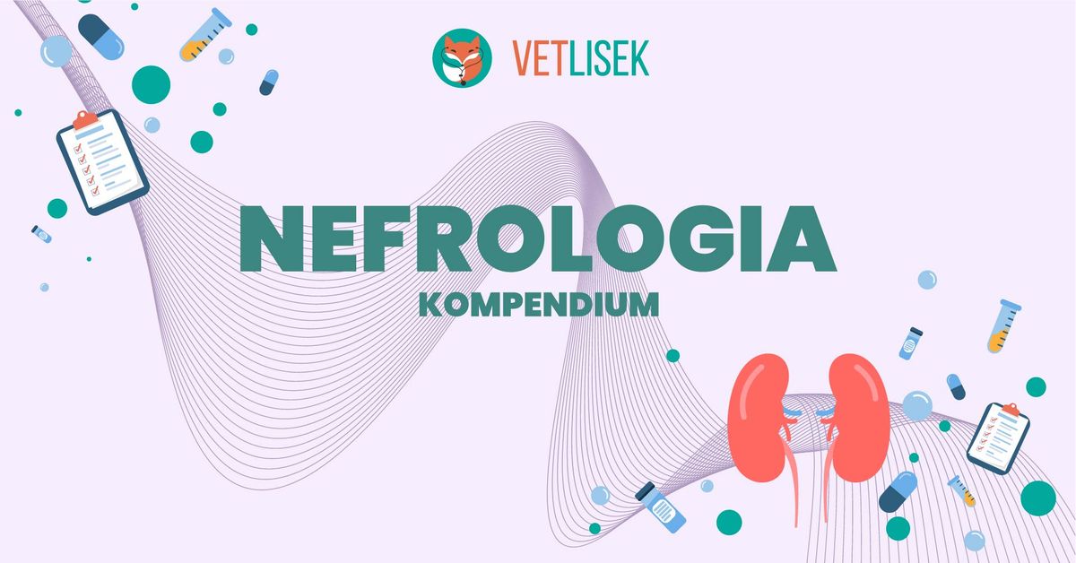 NEFROLOGIA KOMPENDIUM 