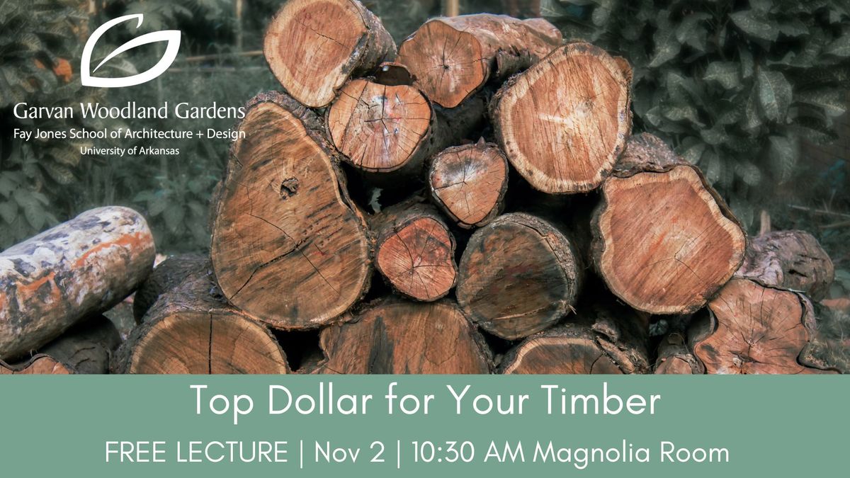 Top Dollar for Your Timber