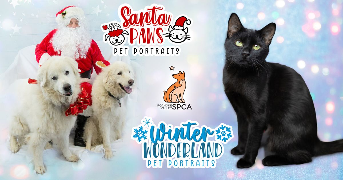 Winter Pet Portraits featuring Santa Paws!