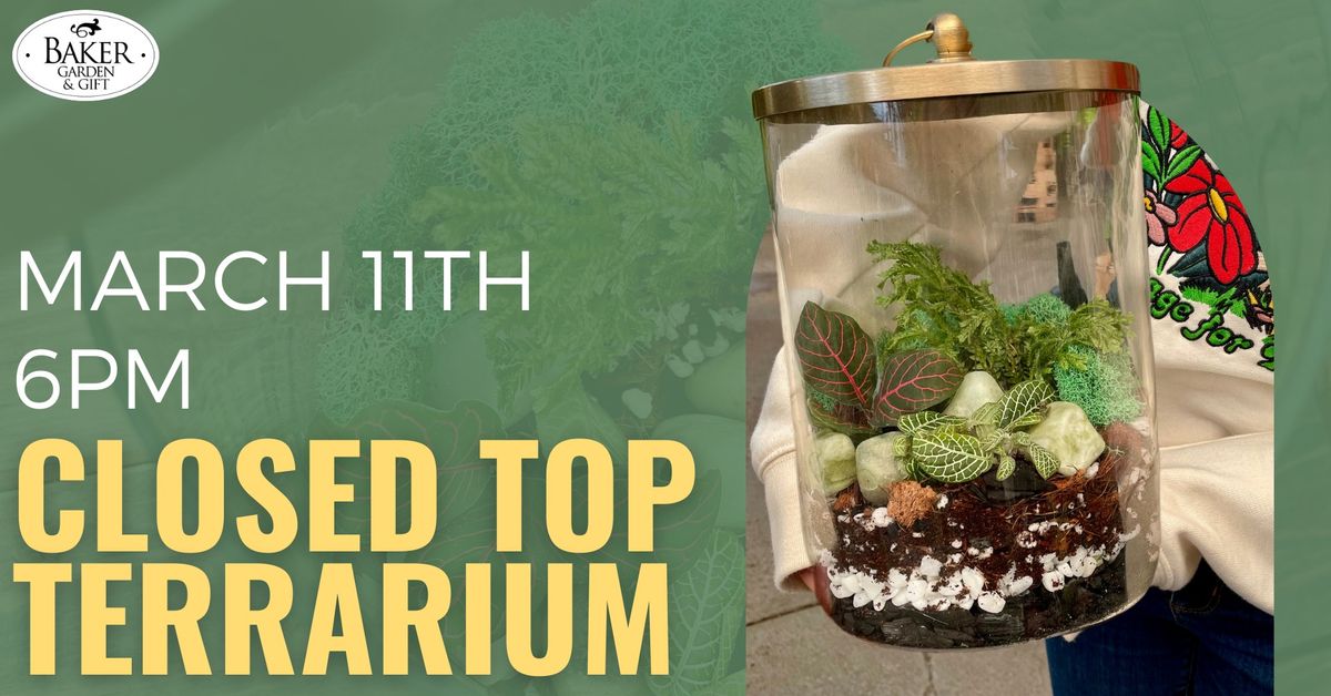 Closed Top Terrarium Workshop