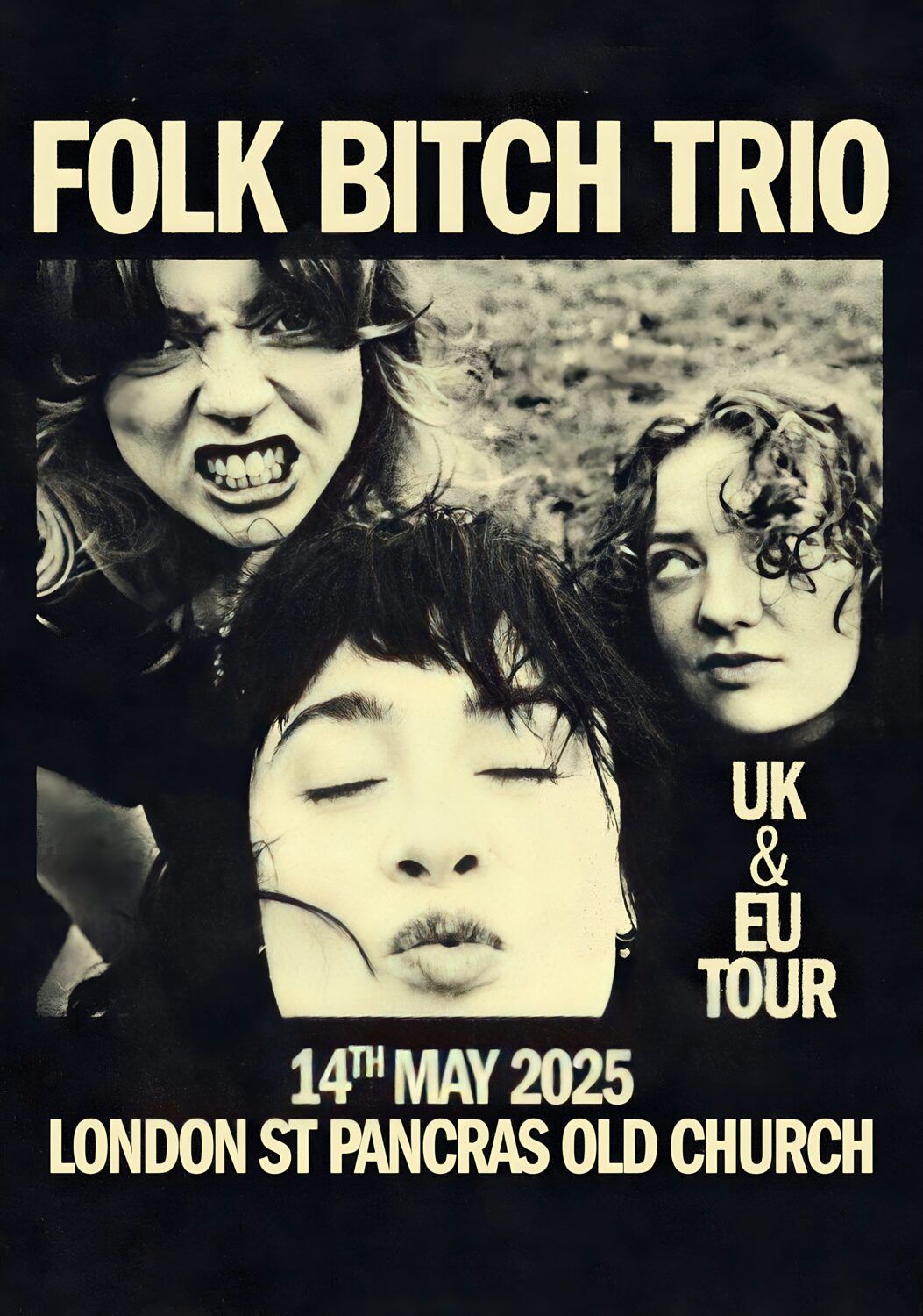 Folk Bitch Trio