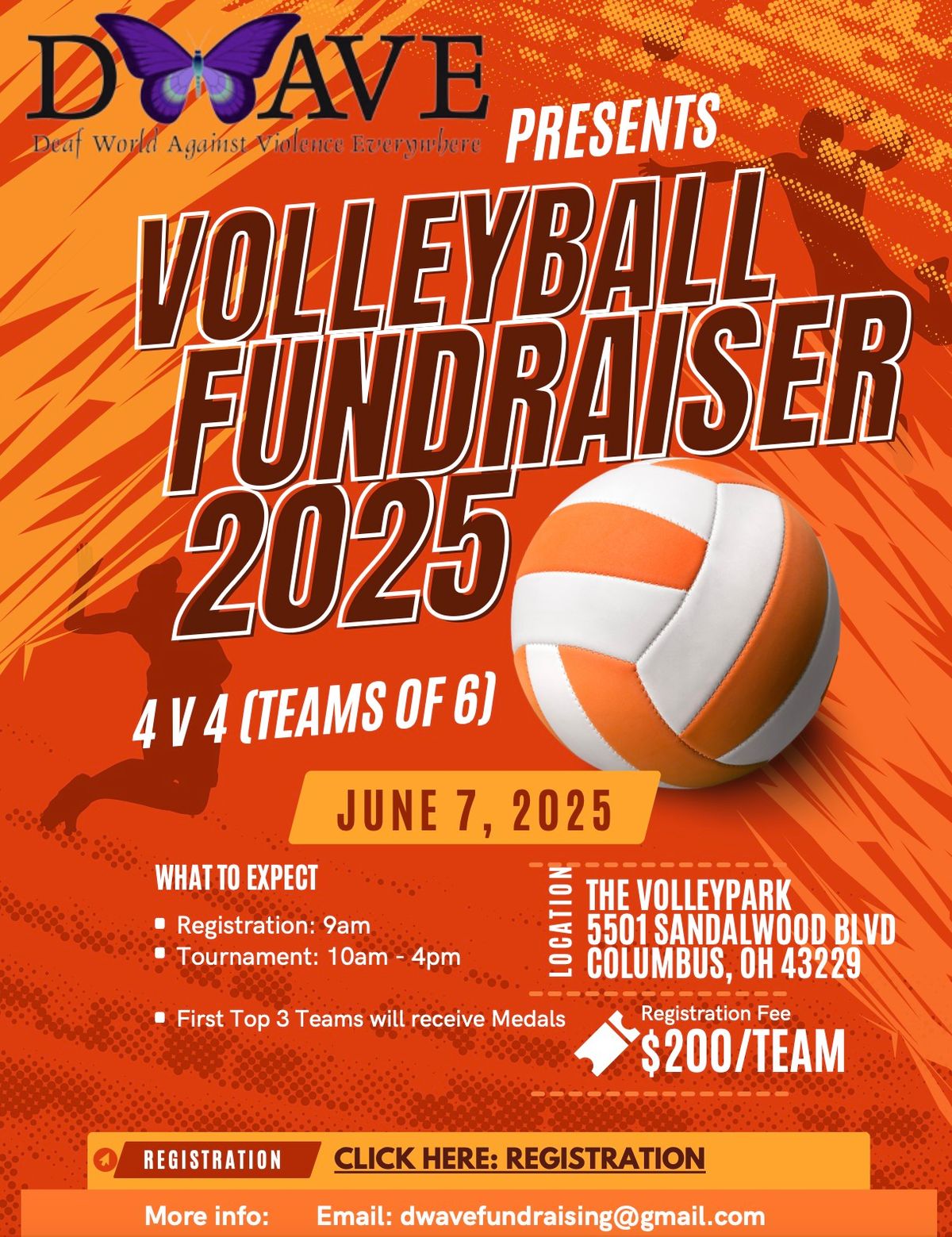 DWAVE Volleyball Fundraiser