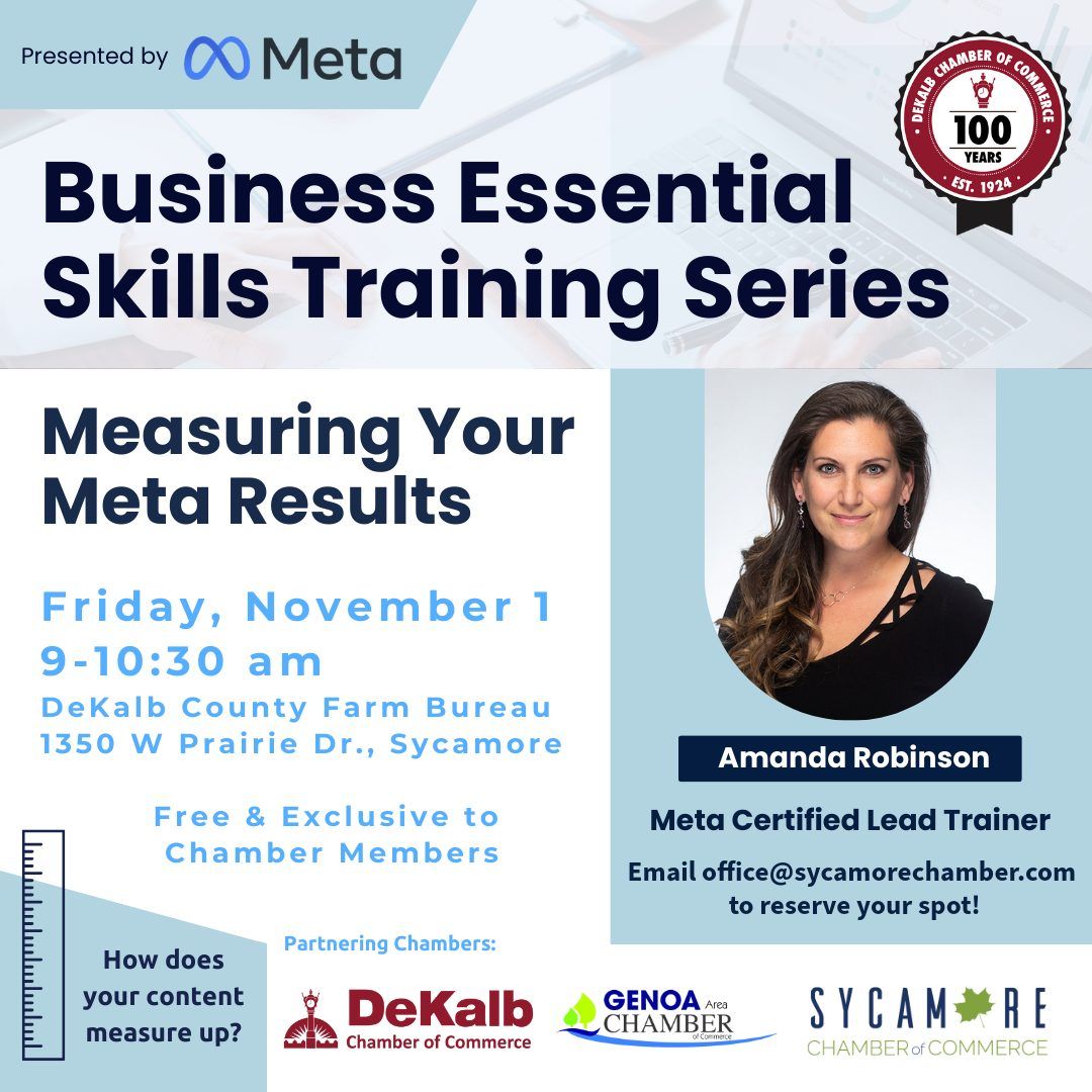 Business Essentials Skills Training - Measuring Your Meta Results