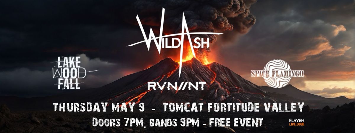 WildAsh @ Tomcat with Lakewoodfall, Space Flamingo, and RVN\/\/NT