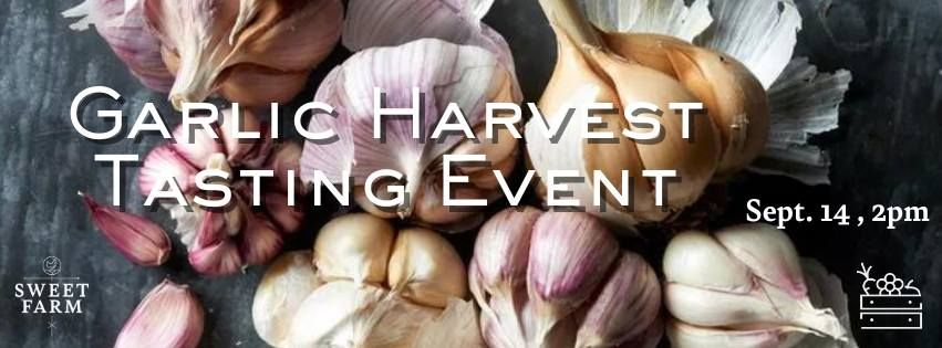 Garlic Harvest Tasting Event