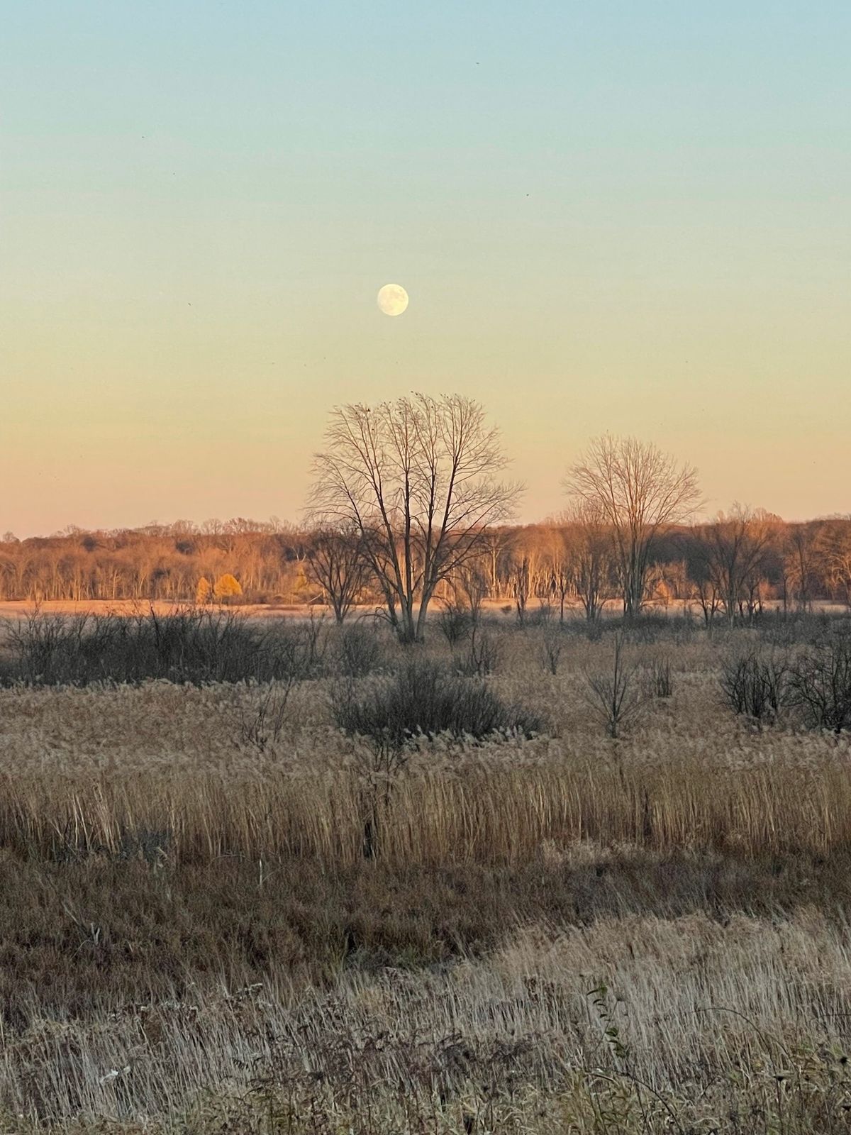 1000 Hours Outside: Gratitude Celebration with Awishinaabe