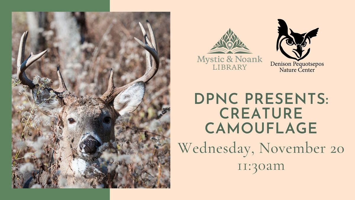 DPNC Presents: Creature Camouflage