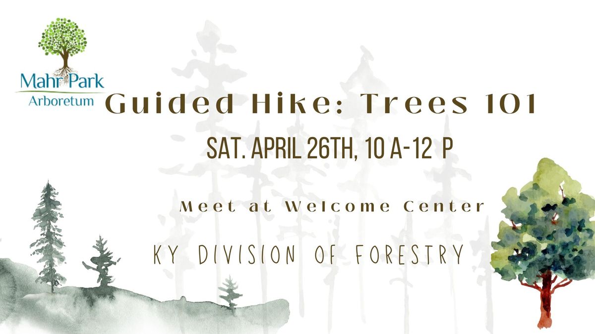 Guided Hike: Trees