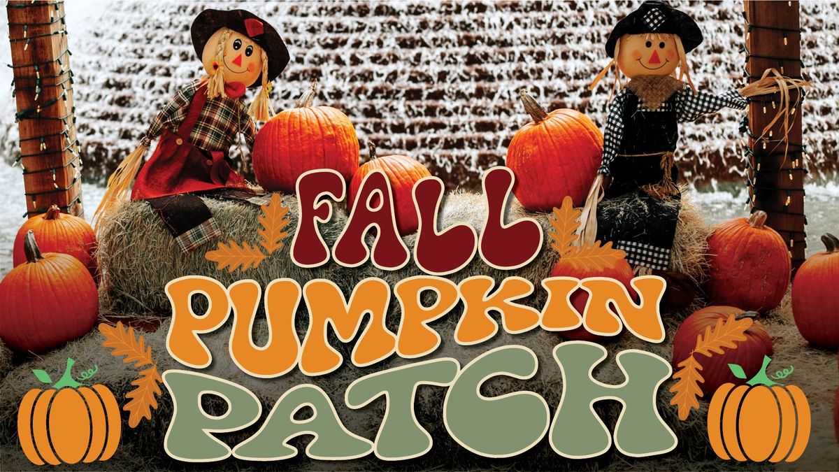 Fall Pumpkin Patch