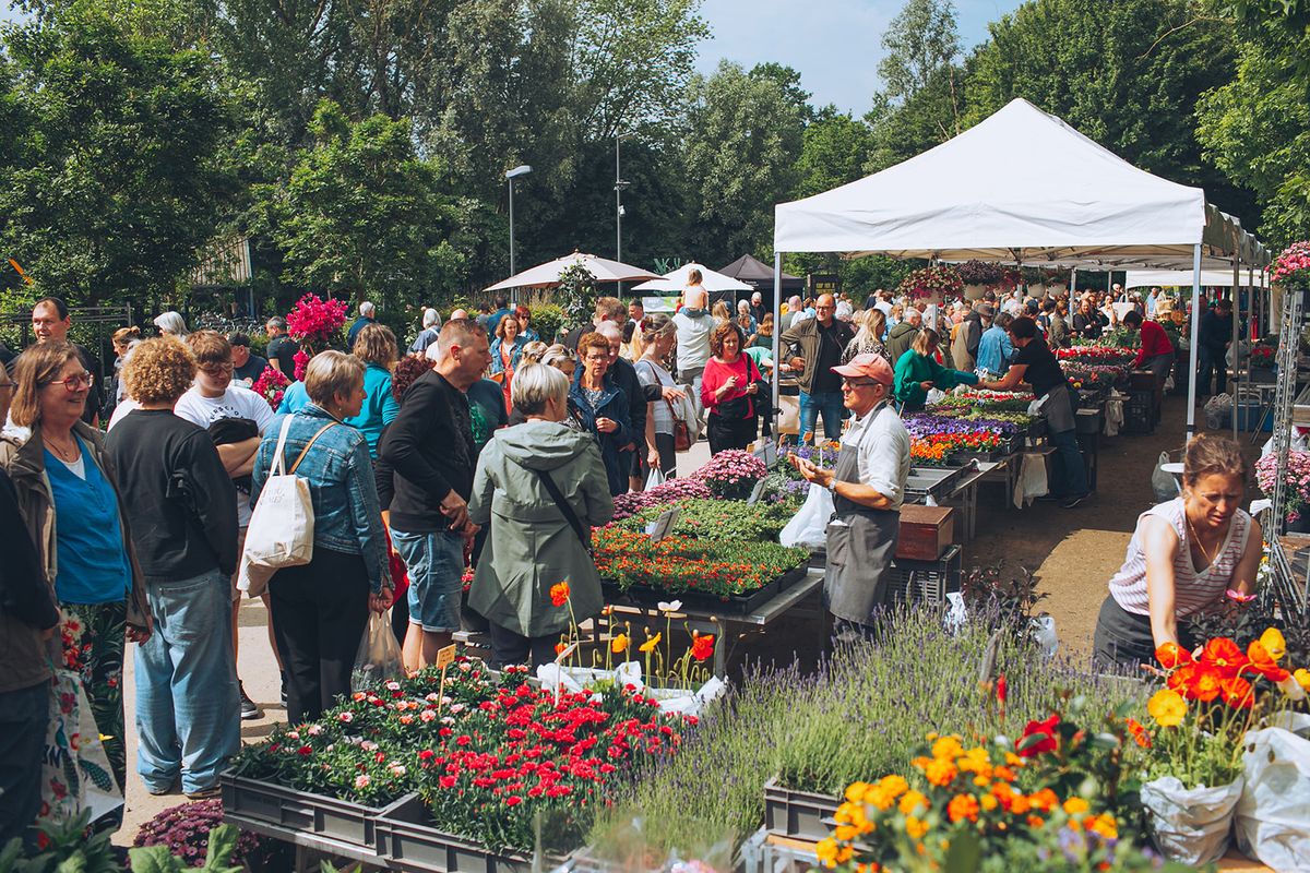 Plantendag met Kunstenaarsmarkt 