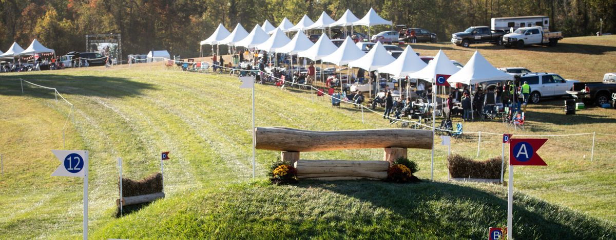 Parking Minus The Bear (16+)