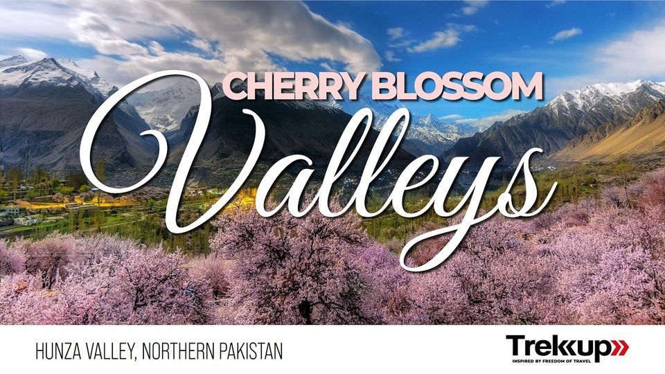 Cherry Blossom Valleys | Hunza Valley, Northern Pakistan