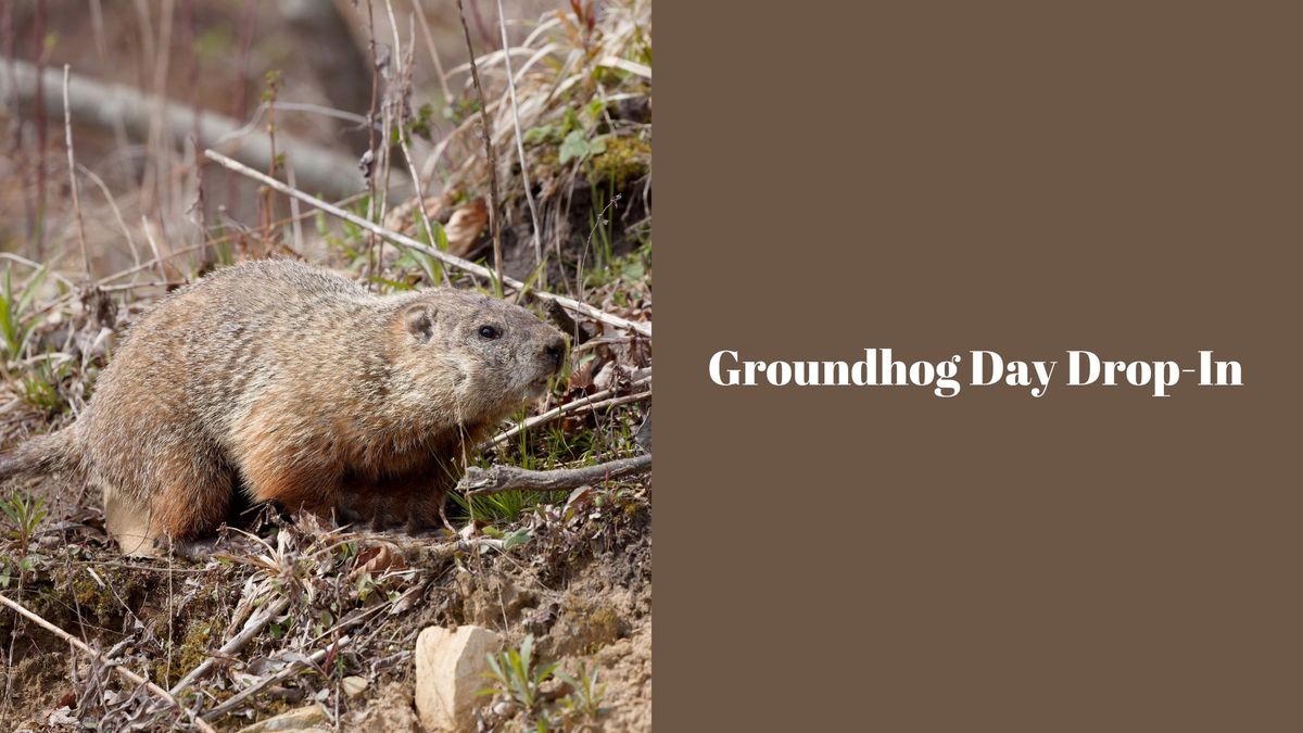 Groundhog Day Drop-In