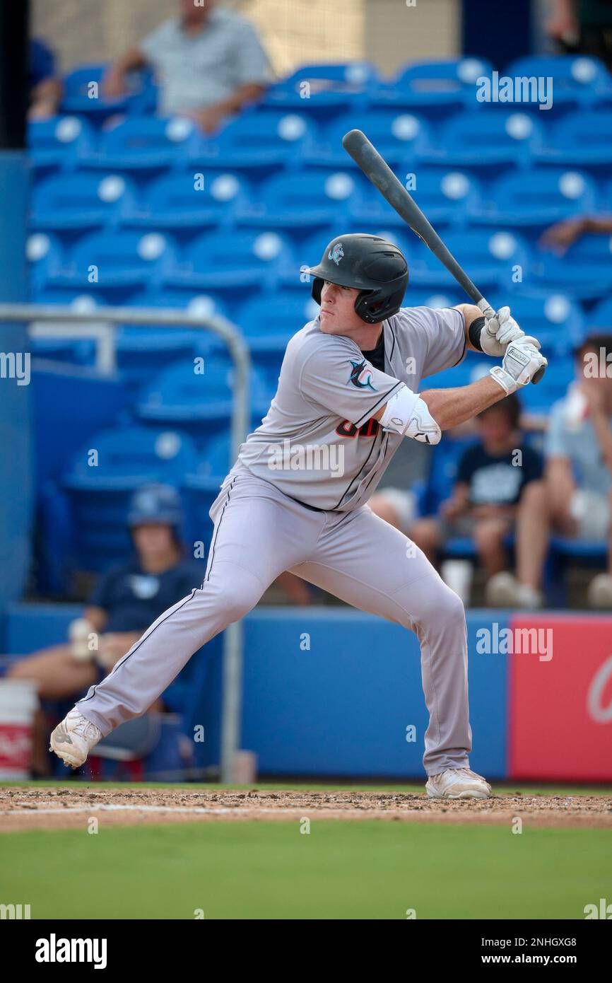 Dunedin Blue Jays vs. Jupiter Hammerheads