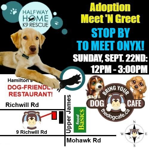 Adoption Event - Halfway Home K9 Rescue