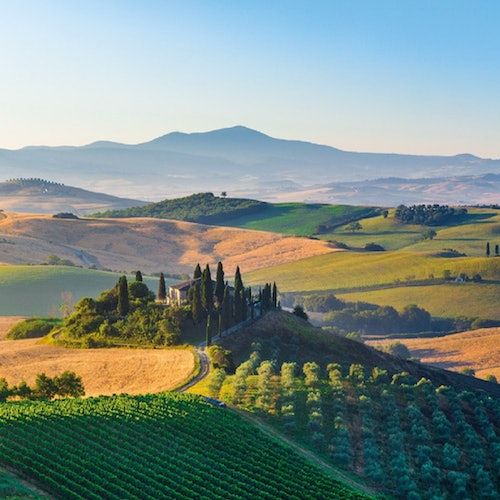 Pienza e Montepulciano: Tour del vino di un'intera giornata da Firenze